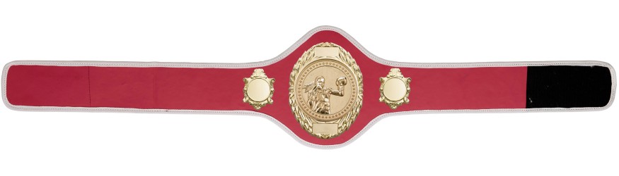 FEMALE BOXING CHAMPIONSHIP-PRO286/G/FEMBOXG-10+ COLOURS